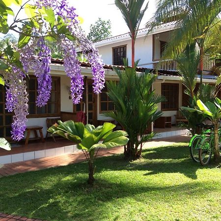 Posada Nena Caribe Puerto Viejo de Talamanca المظهر الخارجي الصورة