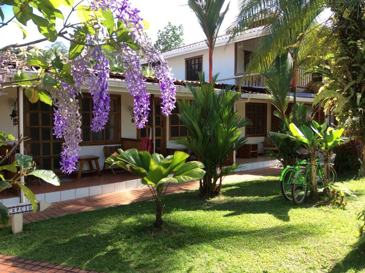 Posada Nena Caribe Puerto Viejo de Talamanca المظهر الخارجي الصورة