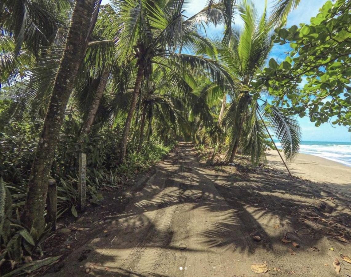 Posada Nena Caribe Puerto Viejo de Talamanca المظهر الخارجي الصورة