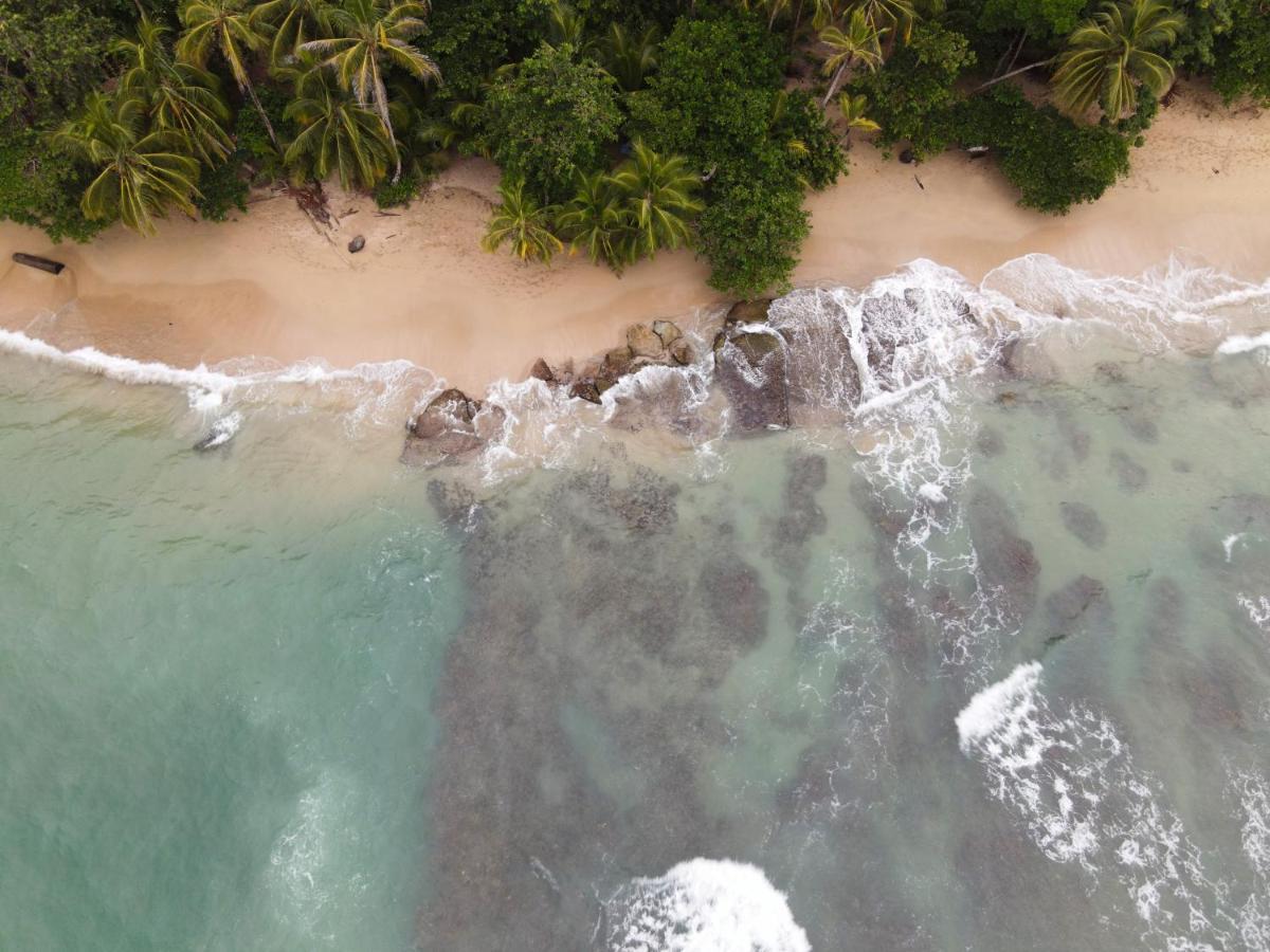 Posada Nena Caribe Puerto Viejo de Talamanca المظهر الخارجي الصورة