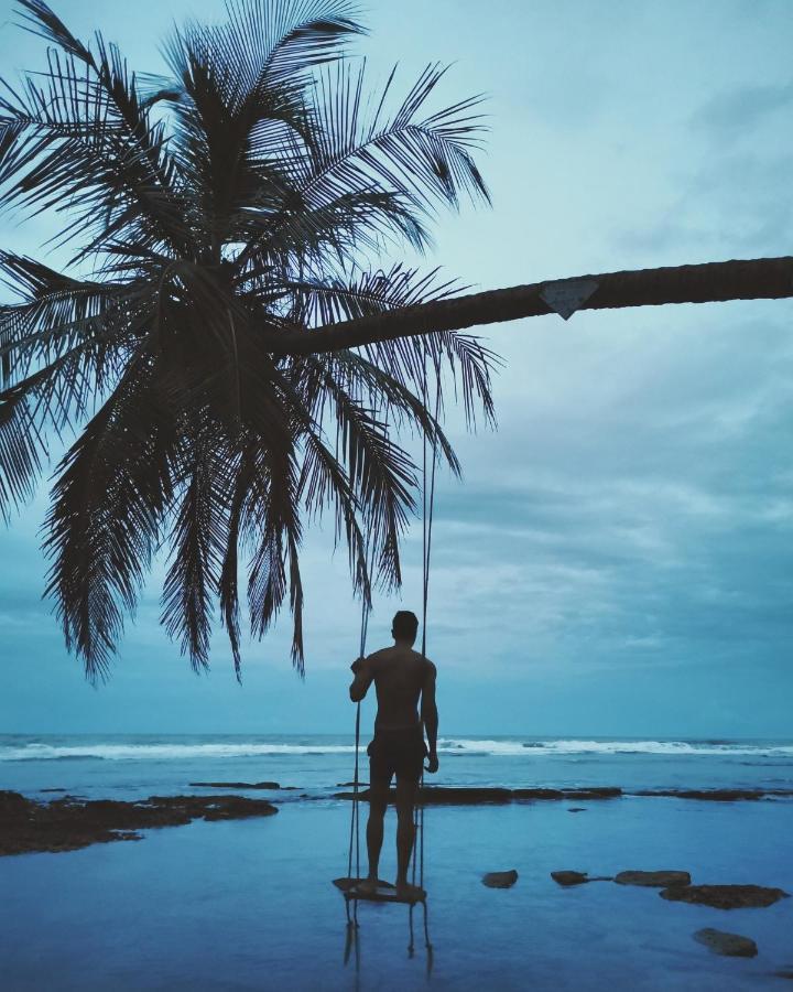 Posada Nena Caribe Puerto Viejo de Talamanca المظهر الخارجي الصورة