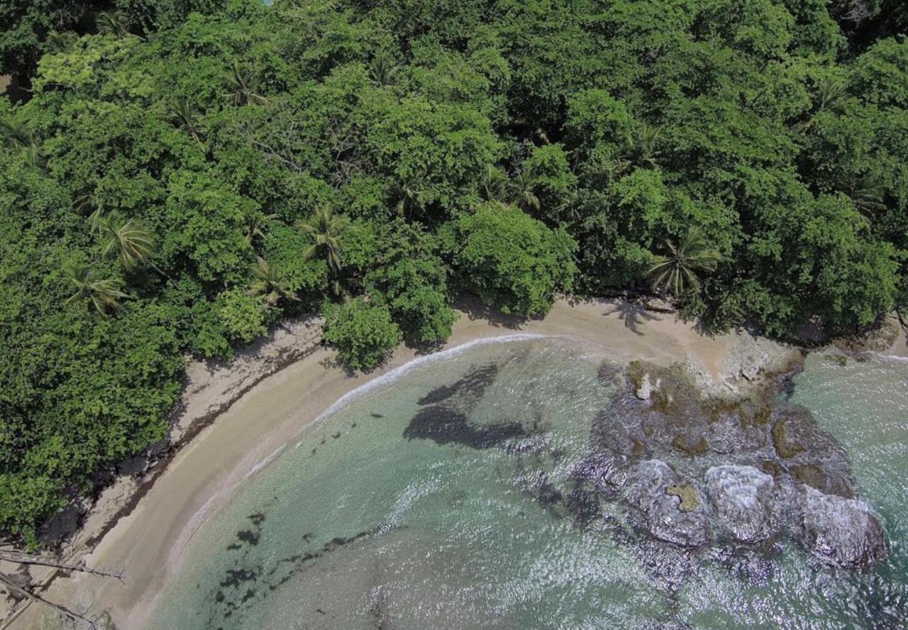Posada Nena Caribe Puerto Viejo de Talamanca المظهر الخارجي الصورة