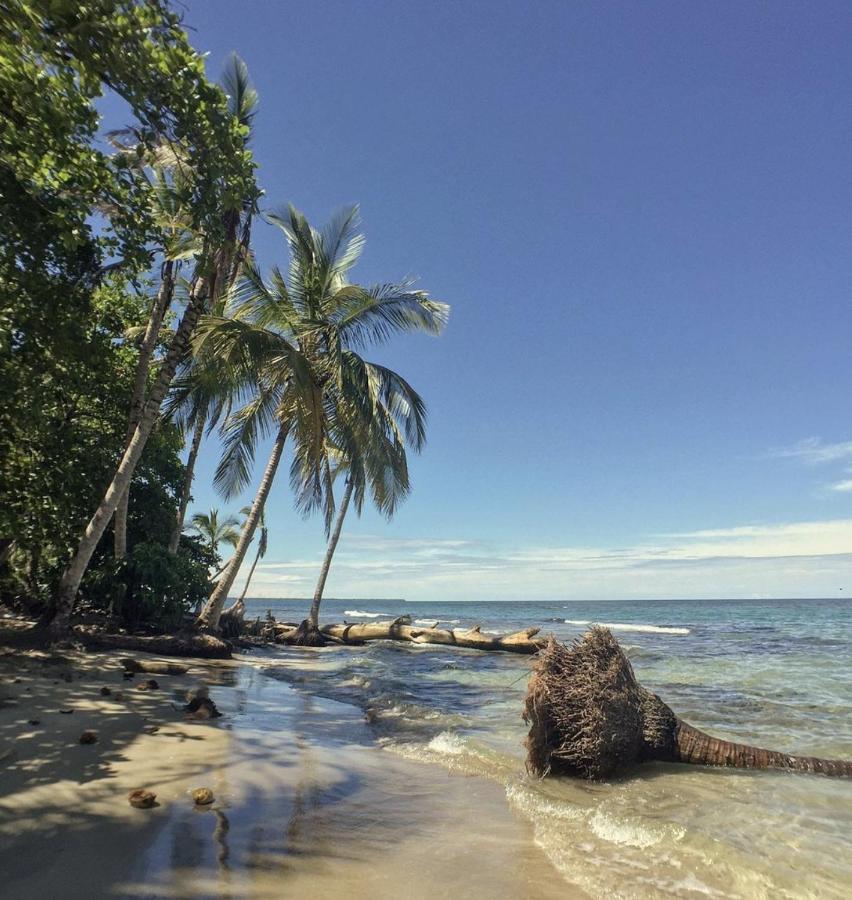 Posada Nena Caribe Puerto Viejo de Talamanca المظهر الخارجي الصورة