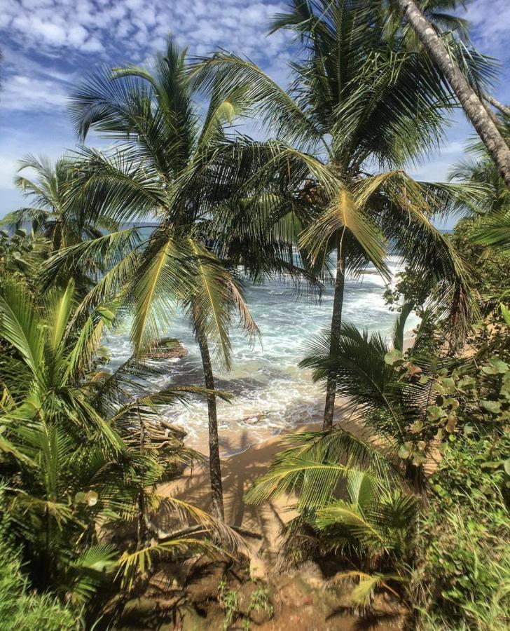 Posada Nena Caribe Puerto Viejo de Talamanca المظهر الخارجي الصورة