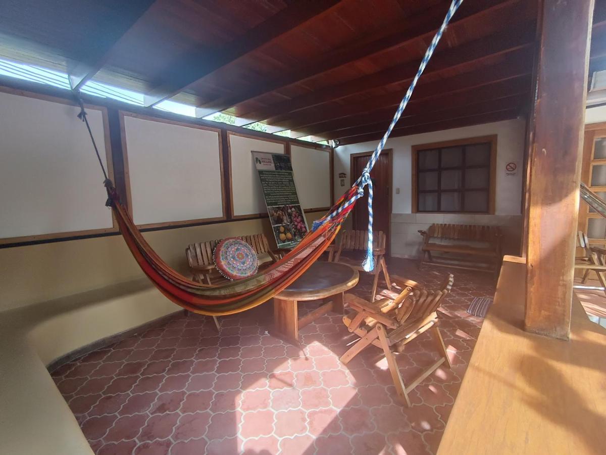 Posada Nena Caribe Puerto Viejo de Talamanca المظهر الخارجي الصورة