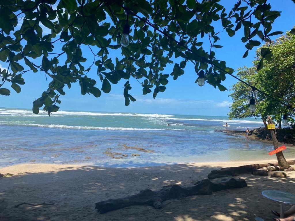 Posada Nena Caribe Puerto Viejo de Talamanca المظهر الخارجي الصورة