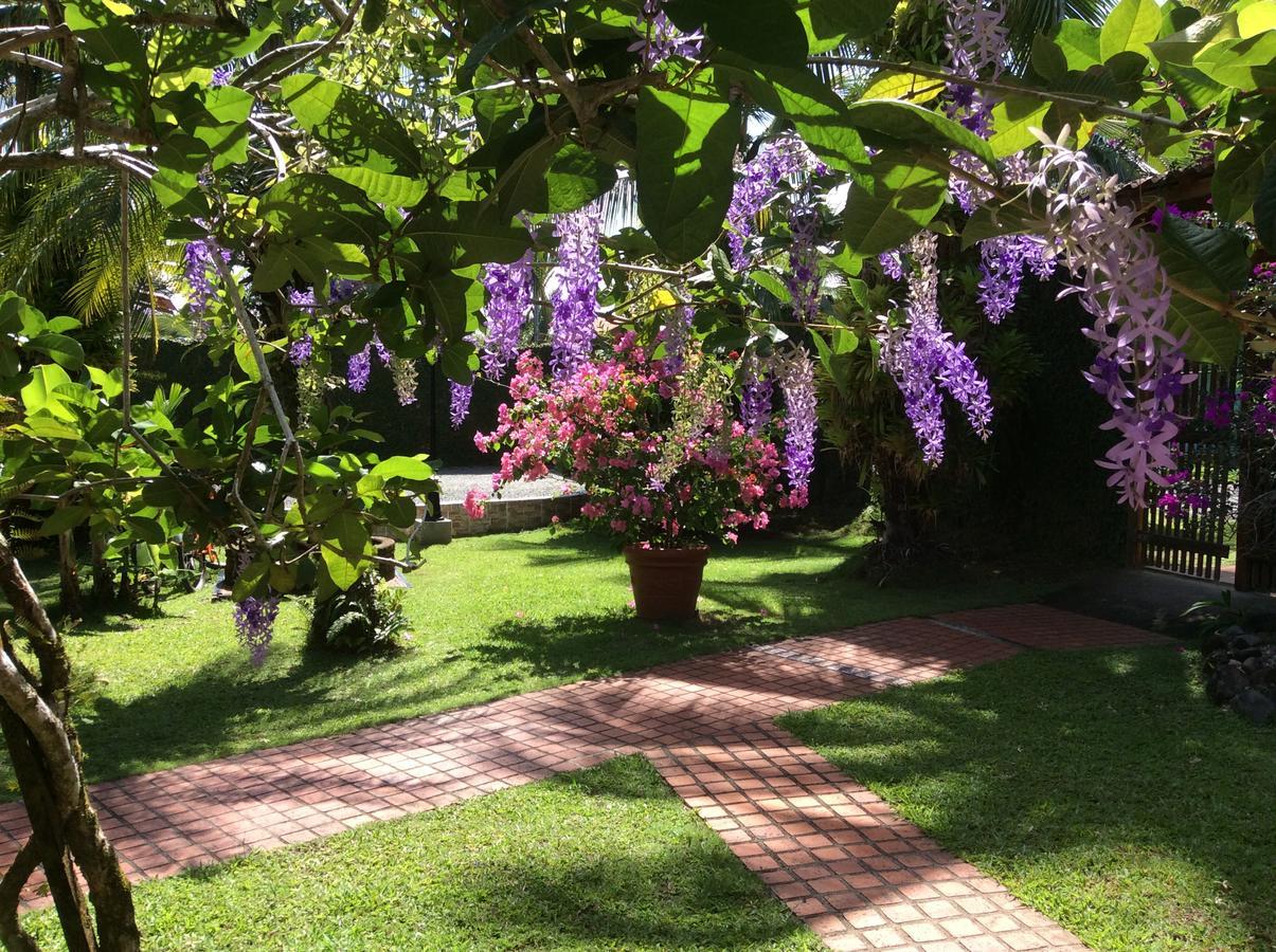 Posada Nena Caribe Puerto Viejo de Talamanca المظهر الخارجي الصورة