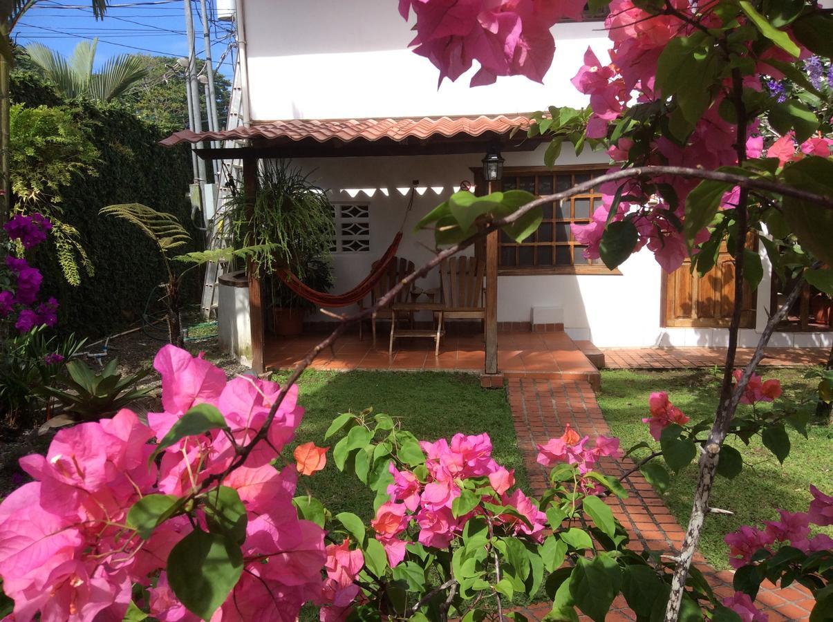 Posada Nena Caribe Puerto Viejo de Talamanca المظهر الخارجي الصورة