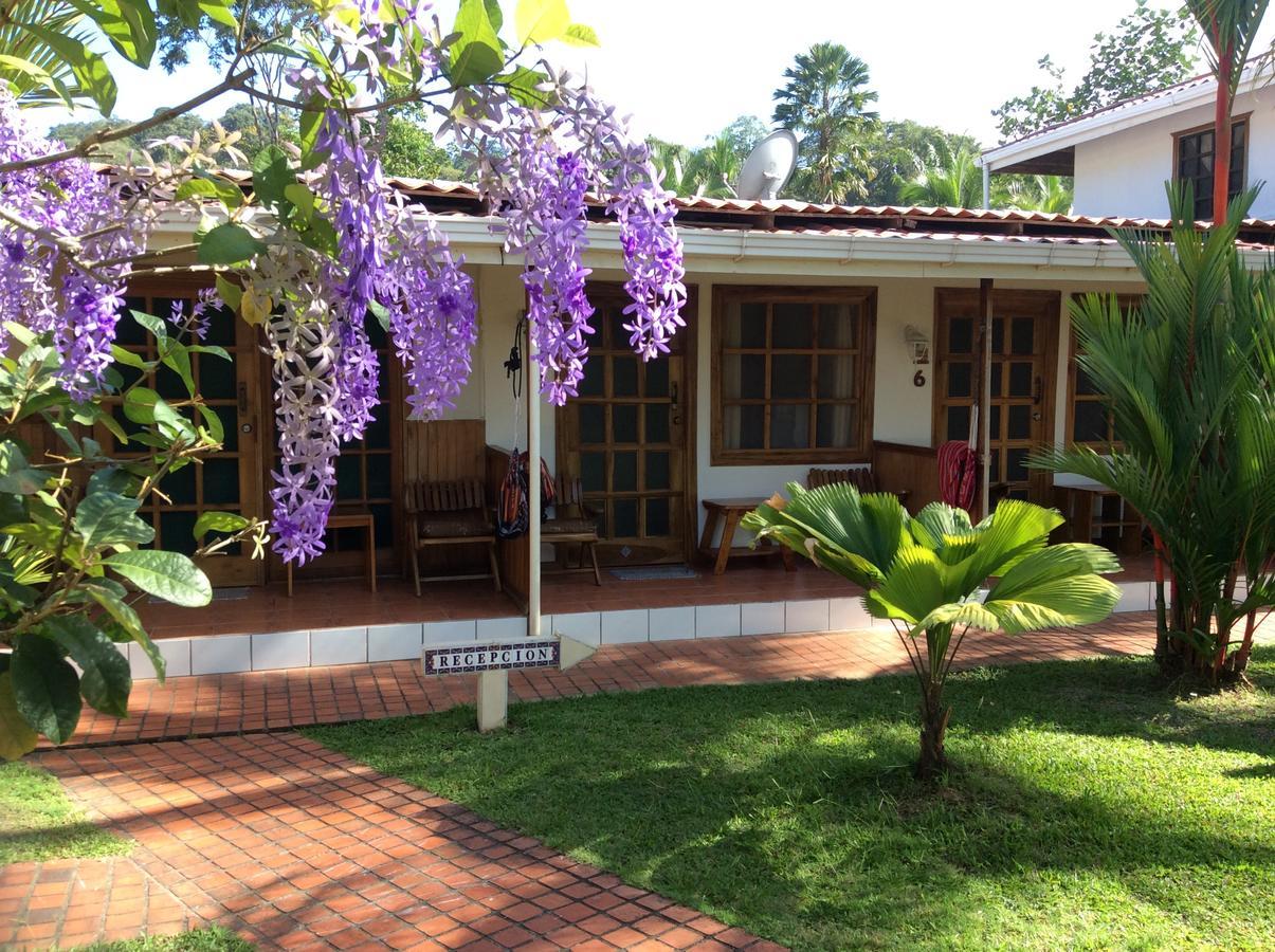 Posada Nena Caribe Puerto Viejo de Talamanca المظهر الخارجي الصورة